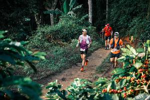 BIB: 
                            <button type="button" onclick="openModal(25819760)" class="btn btn-primary btn-sm float-right btn-popup" data-toggle="modal" data-target=".modal-high-quality">
                        <i class="fas fa-shopping-cart"></i> Add to Cart
                    </button>
                                            <button type="button" onclick="isThisMe(25819760, true)" class="btn btn-success btn-sm float-right btn-popup btn-isme hidden" data-toggle="tooltip" data-placement="bottom" title="นี่คือรูปของคุณใช่ไหม คลิกที่นี่เพื่อเอาเข้าอัลบั้ม">
                        <i class="fas fa-plus"></i> Add to album
                    </button>
                    <button type="button" onclick="isThisMe(25819760, false)" class="btn btn-warning btn-sm float-right btn-popup btn-isnotme hidden">
                        <i class="fas fa-ban"></i> Remove from album
                    </button>